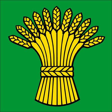 Birmenstorf AG flag